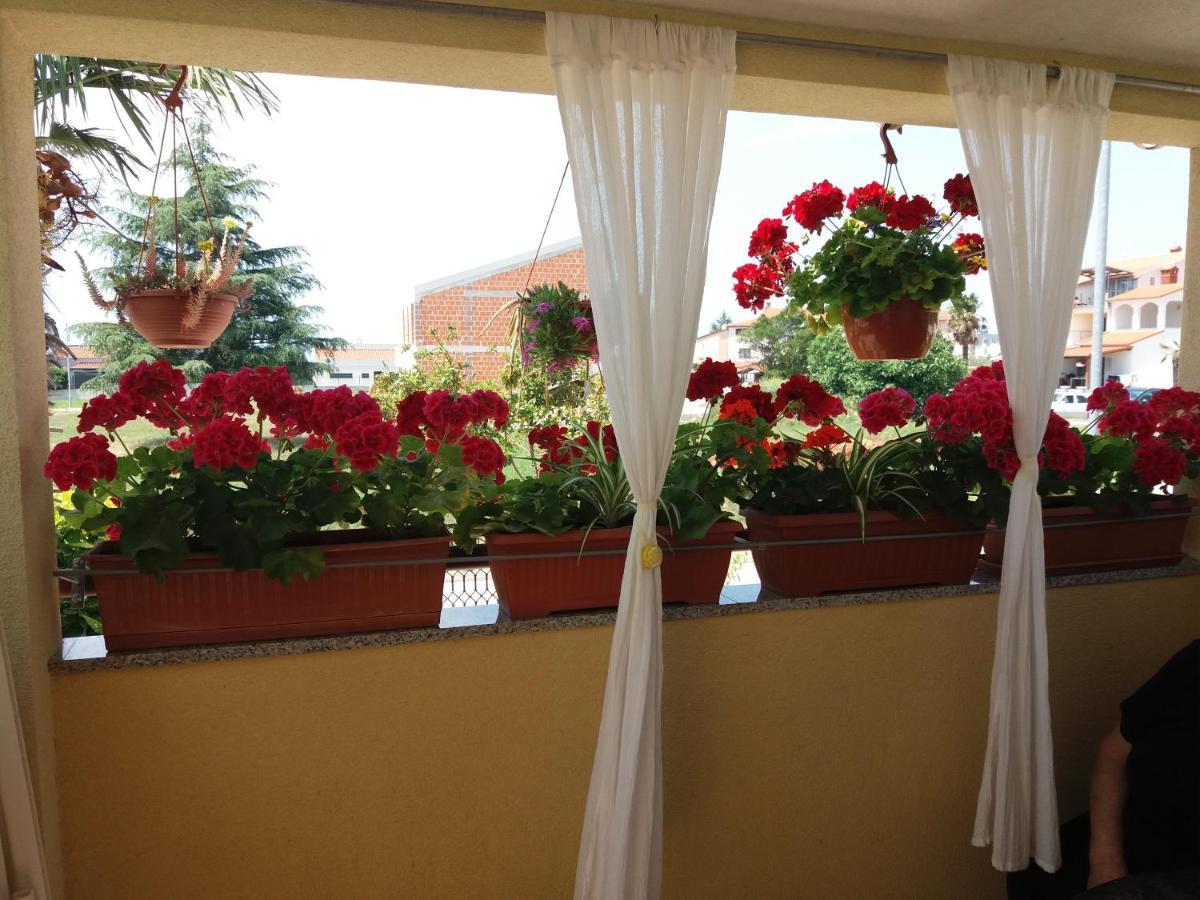 Apartman Luka فاجانا المظهر الخارجي الصورة
